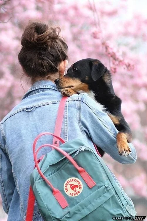 Canvas School Backpack