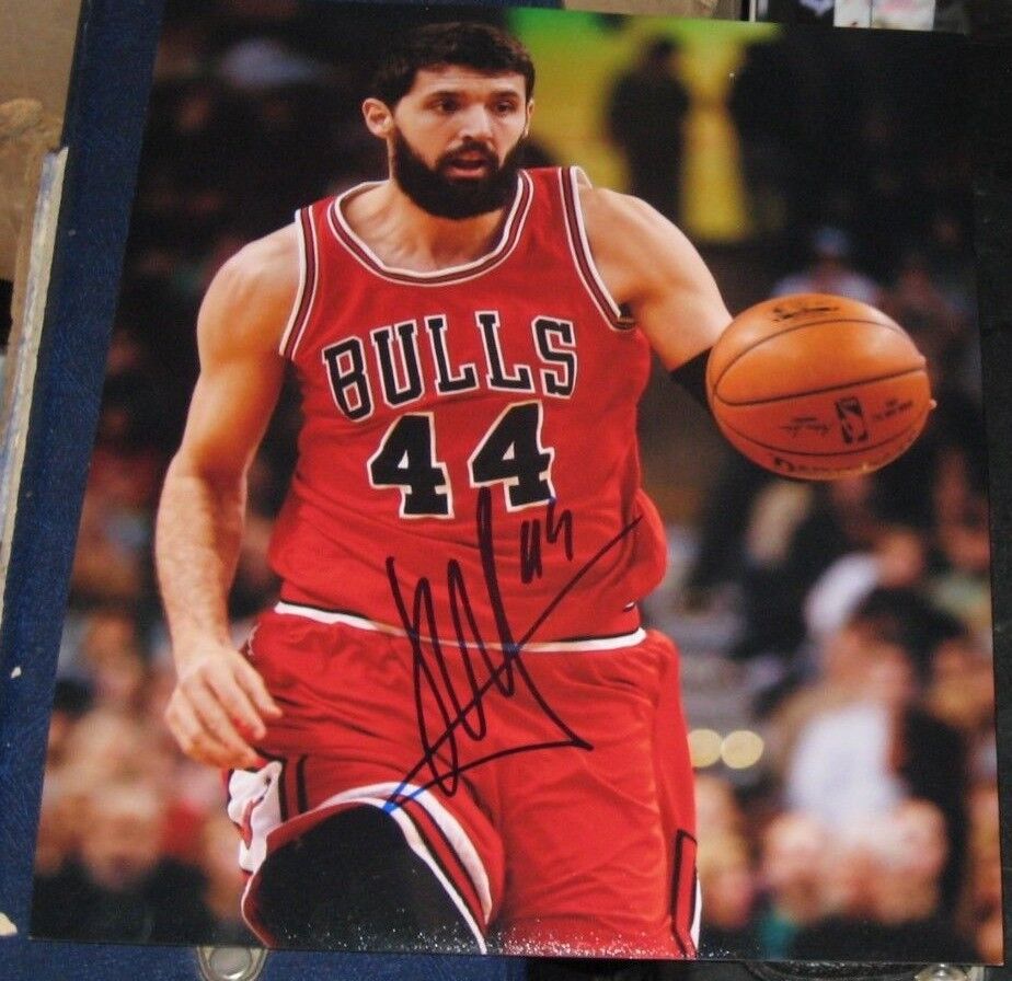 NIKOLA MIROTIC CHICAGO BULLS SIGNED AUTOGRAPHED 8X10 Photo Poster painting W/COA SR MONTENEGRO