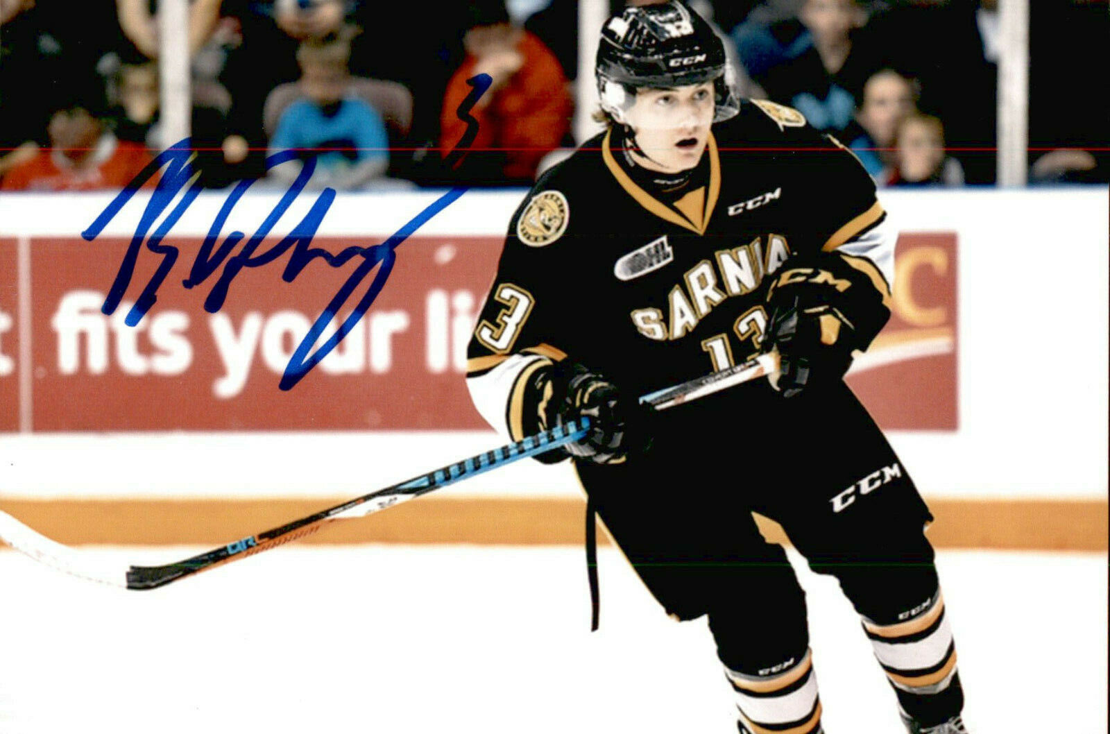 Brady Hinz SIGNED 4X6 Photo Poster painting SARNIA STING / PETERBOROUGH PETES