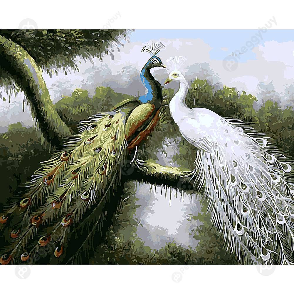 

40*50CM Paint By Numbers-Peafowl Love, 501 Original