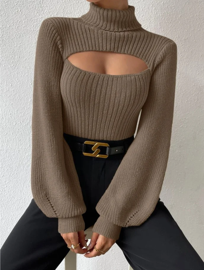 Design Sense Turtleneck Women's Knitted Sweater