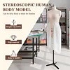 [US Local Warehouse] Dress Form Height Adjustable Sewing Mannequin Female with Stable Metal Base Mannequin Body Torso for Retail Boutique Store