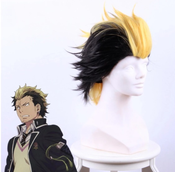 Blue Exorcist Suguro Ryuuji Cosplay Wig