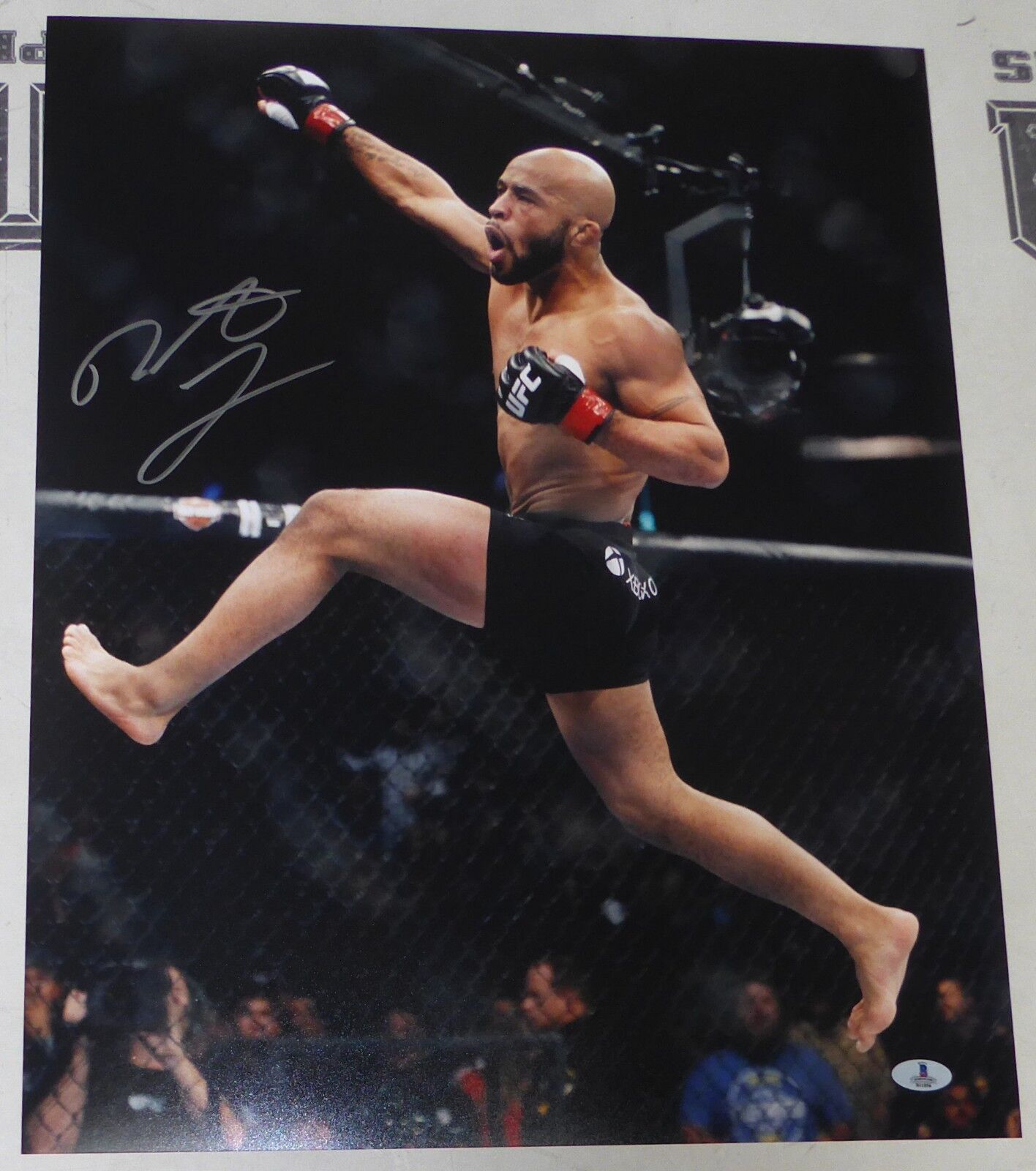 Demetrious Johnson Signed UFC 16x20 Photo Poster painting BAS Beckett COA Picture Autograph 126