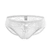 Sexy Mens Lace Underwear Low Rise Ultra Thin Transparent Briefs