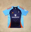 Joyfball 2025/2026 Hamburger Training Football Jersey 1:1 Thai Quality