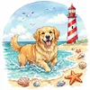 Golden Retriever Seaside Puppy-14CT Stamped Cross Stitch 30*30cm