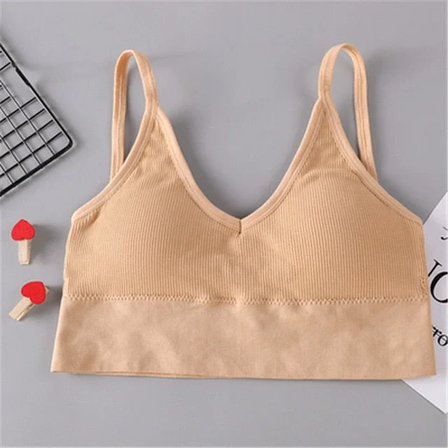 Women Tank Crop Top Bra Underwear Seamless Tube Top Back Hollow Lingerie Wire Free Intimates With Removable Padded 2019