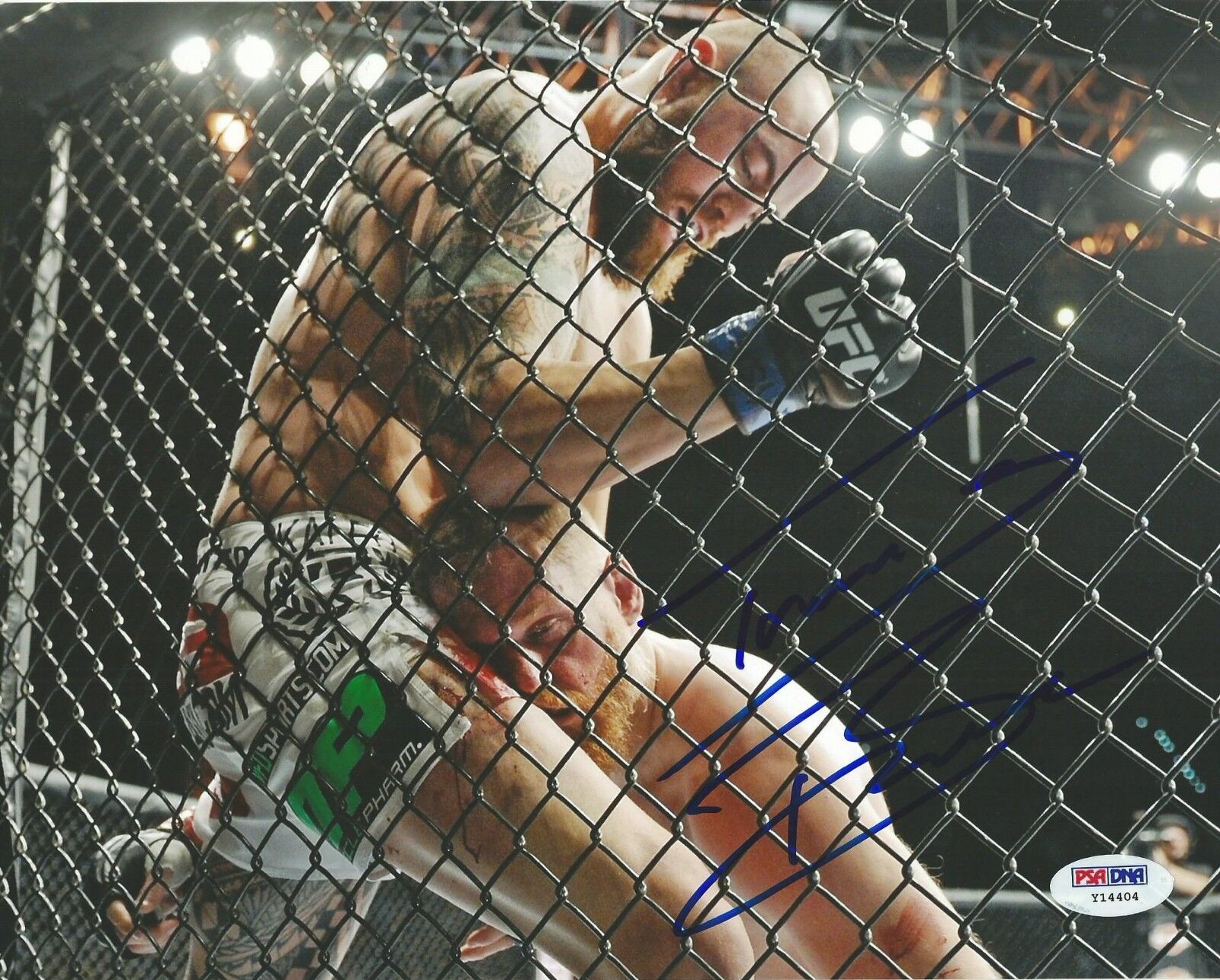 Travis Browne Signed UFC 8x10 Photo Poster painting PSA/DNA COA Picture Autograph 181 168 130 FX