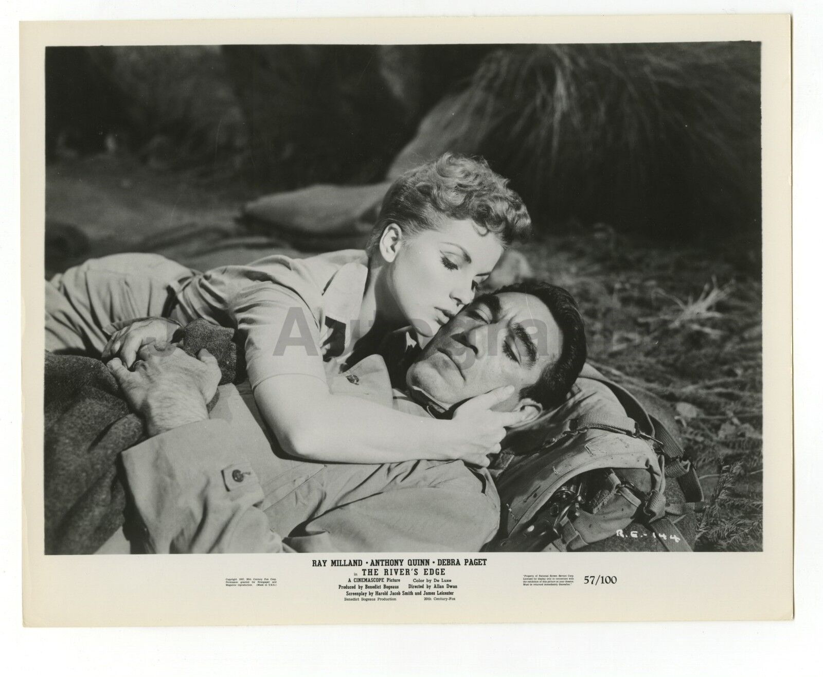 The River's Edge - Ray Milland - Anthony Quinn - Vintage 8x10 Photo Poster paintinggraph