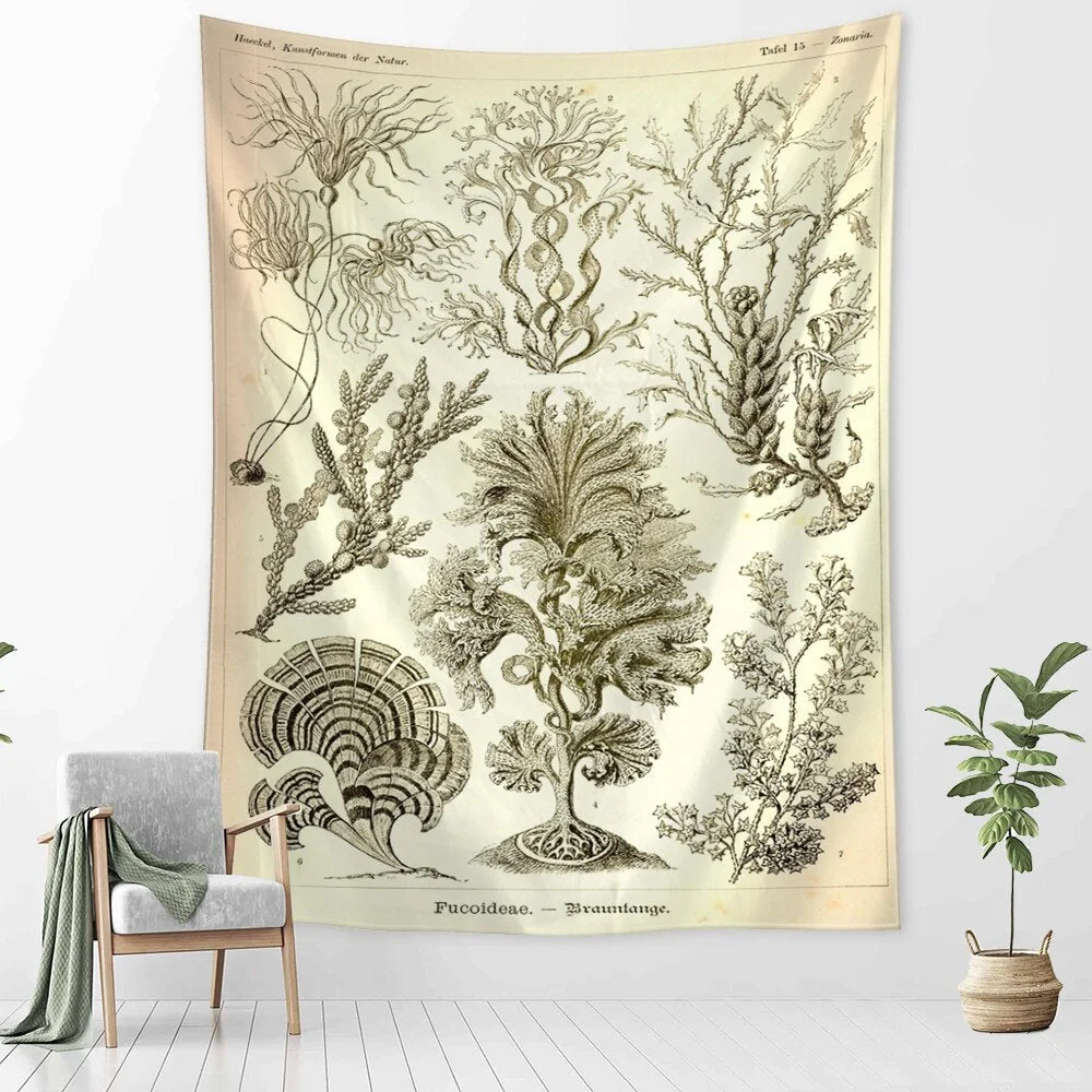 Starfish Conch Tarot Tapestry Wall Hanging Psychedelic Witchcraft Abstract Illustration Room Bedroom Home Decor