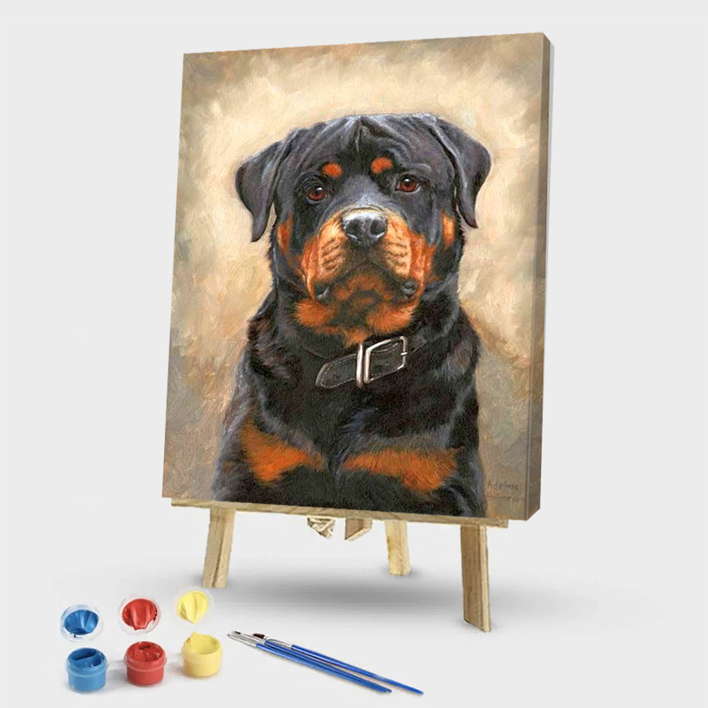 

40*50CM Paint By Numbers-Sad Dog, 501 Original