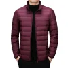 New Men's Stand Collar Lightweight Fashionable Casual Down Jacket
