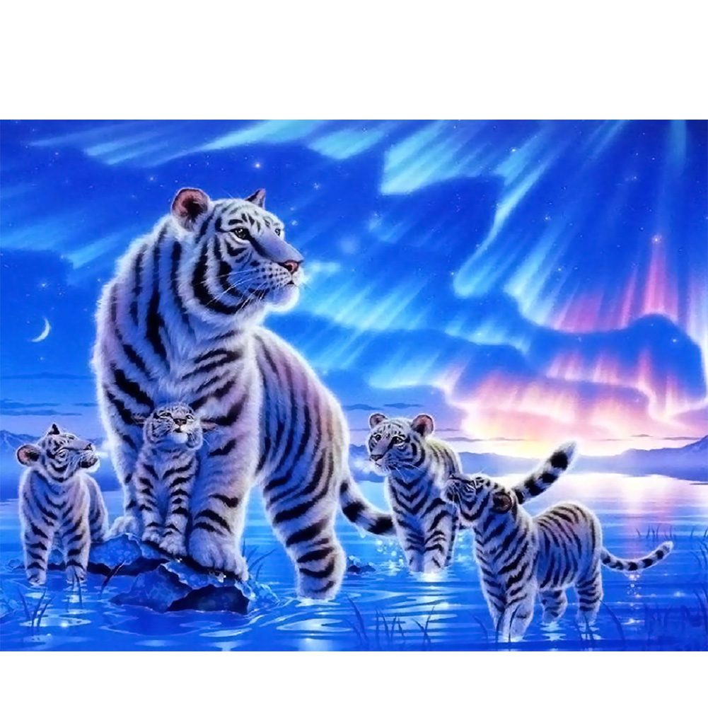 

Aurora Tigers - Square Drill Diamond Painting - 40*50CM, 501 Original