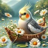 Diamond Painting-DIY Full Round Drill Bird(40*40CM)