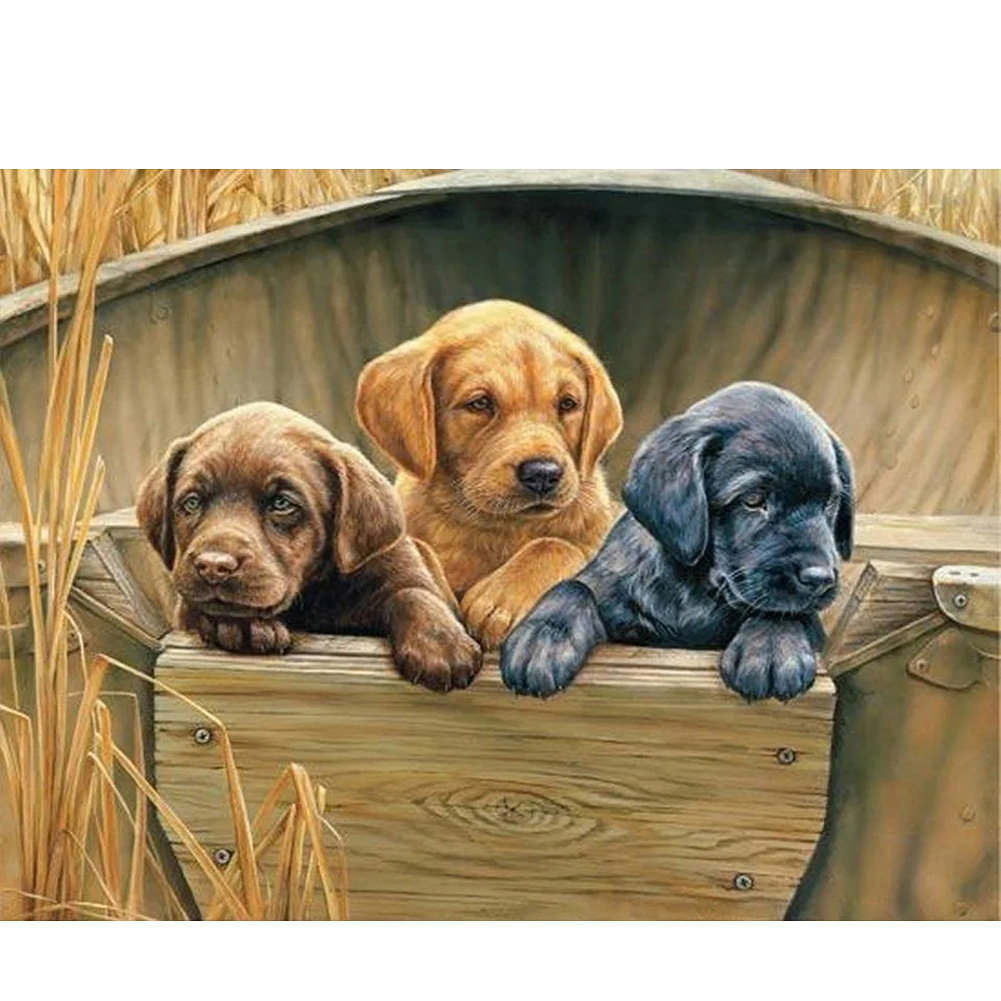 

40*30CM - Round Drill Diamond Painting - Three Puppies, 501 Original