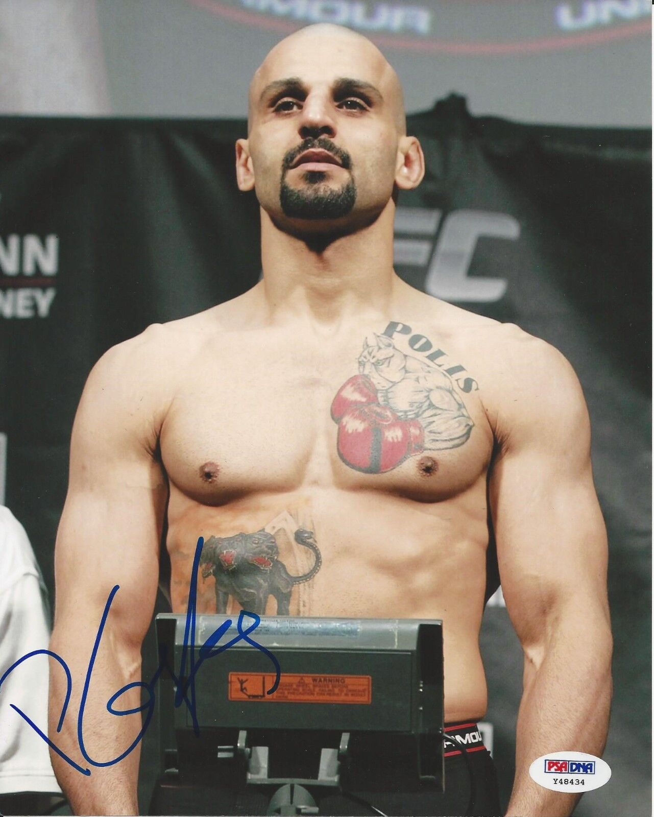 Costas Philippou UFC Fighter signed 8x10 Photo Poster painting PSA/DNA # Y48434