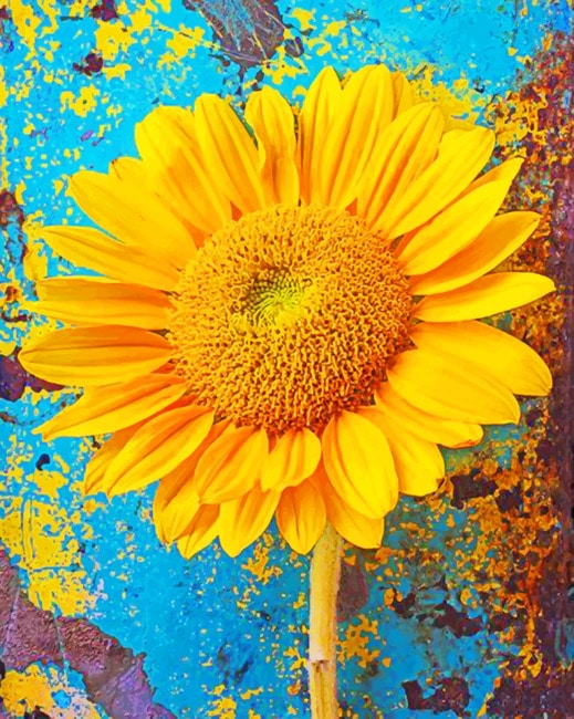 

Sunflower Blossom – Paint By Numbers - 40*50CM, 501 Original
