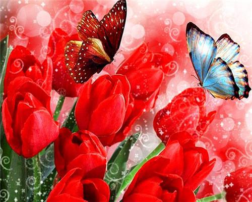 

Butterfly And Red Tulip – Paint By Numbers - 40*50CM, 501 Original