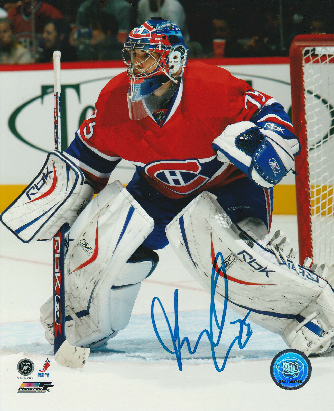 YANN DANIS SIGNED MONTREAL CANADIENS GOALIE 8x10 Photo Poster painting! Autograph