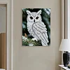 DIY Pearl Painting Owl for Home Wall Decor with Frame(30x40cm)