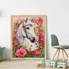 (US Only)Horse Printed Cross Stitch Kit 43x55cm DIY 14CT Thread Art Needlework Wall Decor