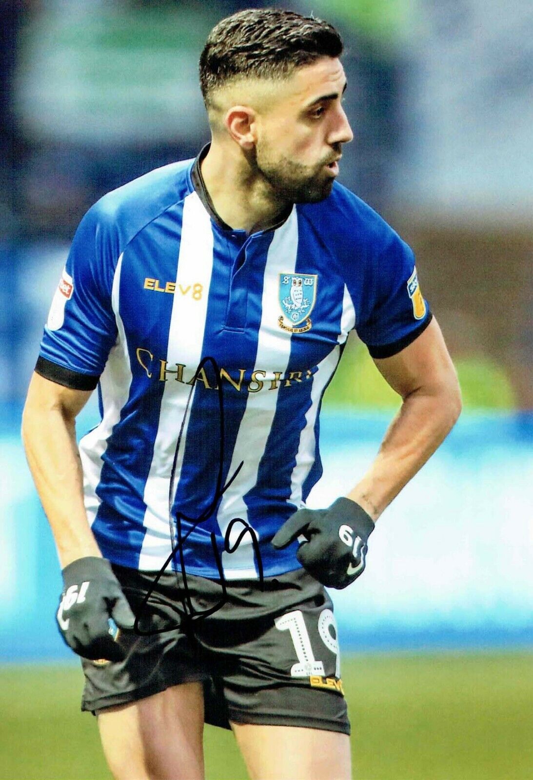 Marco MATIAS Sheffield Wednesday SWFC SIGNED 12x8 Photo Poster painting 3 AFTAL COA OWLS