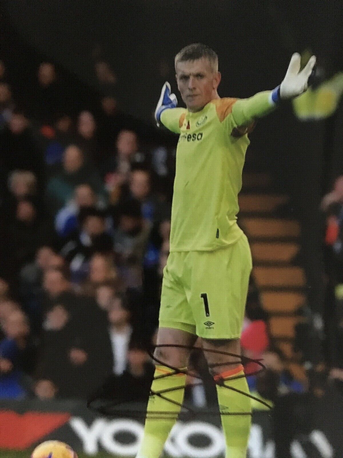 JORDAN PICKFORD - EVERTON GOALKEEPER - EXCELLENT SIGNED COLOUR Photo Poster paintingGRAPH