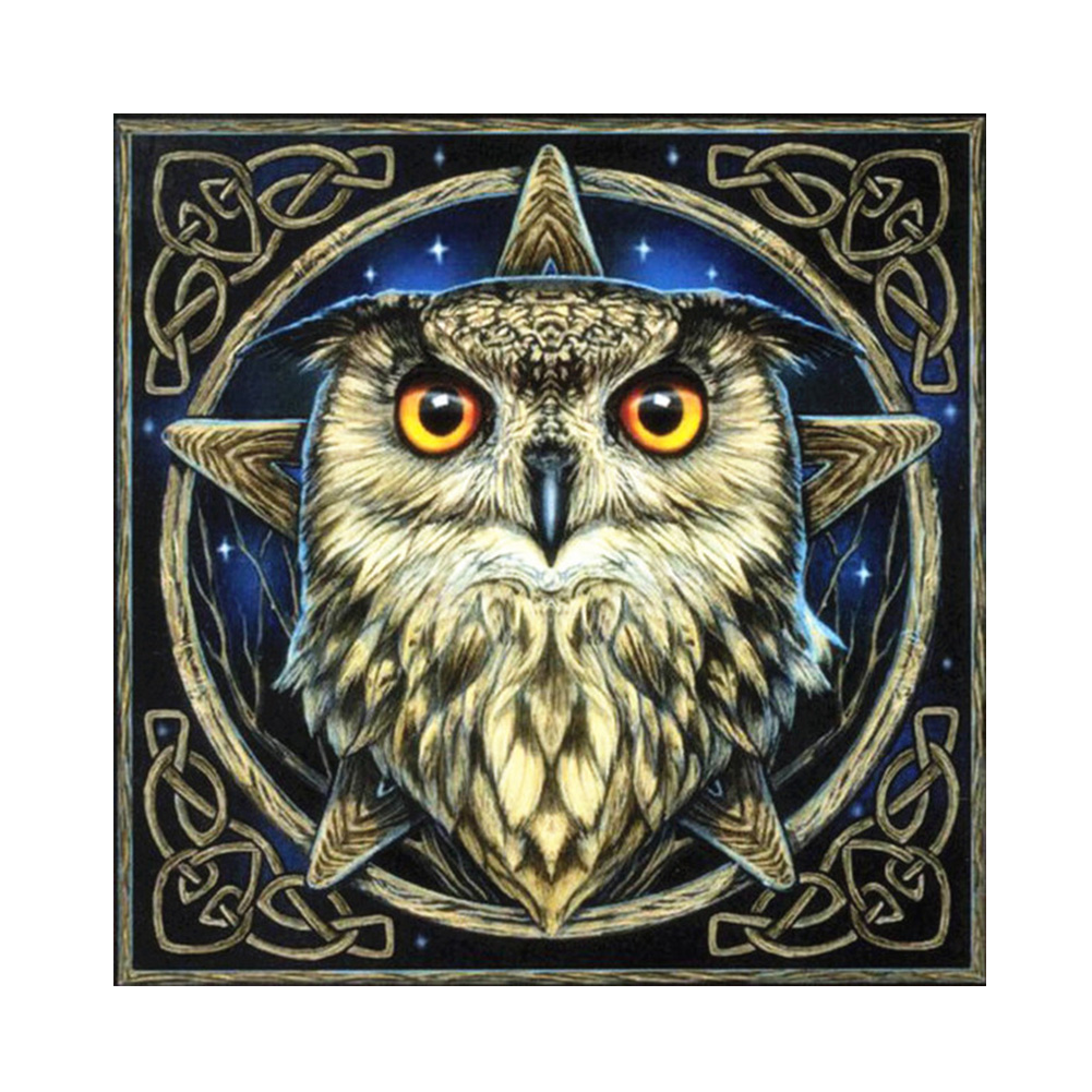

Star Owl - Round Drill Diamond Painting - 30*30CM, 501 Original