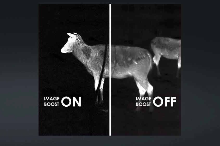 COD Copyright © 2010, jakość QQ:494906791/tag:Cod_web