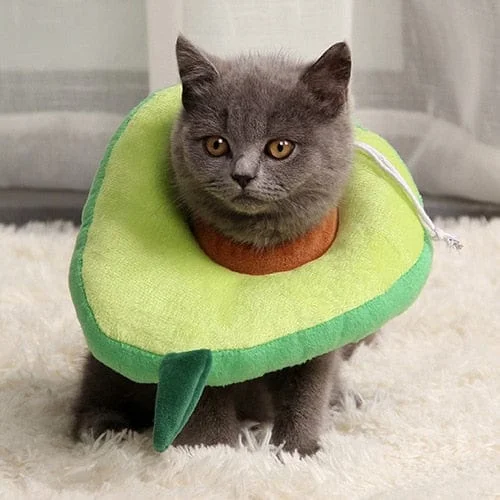 Cute Cat Cone Collar