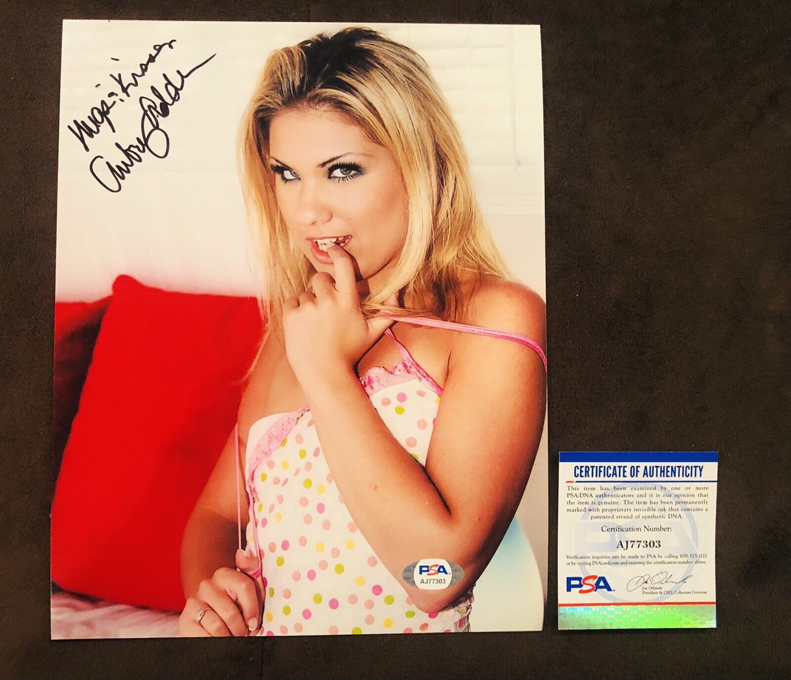 Aubrey Addams Adult STAR SIGNED 8X10 Photo Poster painting Autograph Sexy Naughty Model JSA