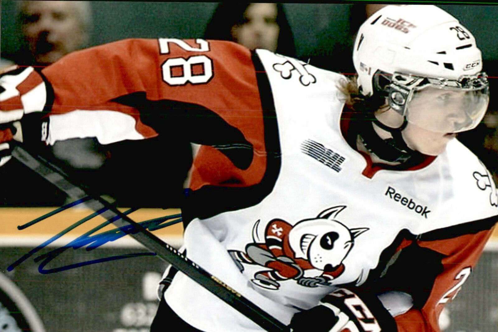 Aaron Haydon SIGNED autographed 4x6 Photo Poster painting NIAGARA ICE DOGS / DALLAS STARS #2