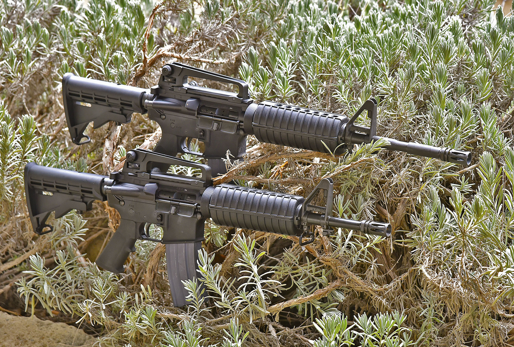 Colt Defense M4 Classic Series | GUNSweek.com