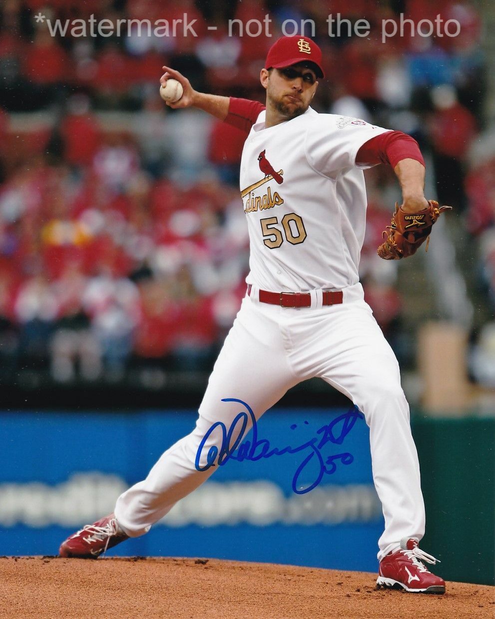 ADAM WAINWRIGHT SIGNED AUTOGRAPH 8X10 Photo Poster painting ST LOUIS CARDINALS