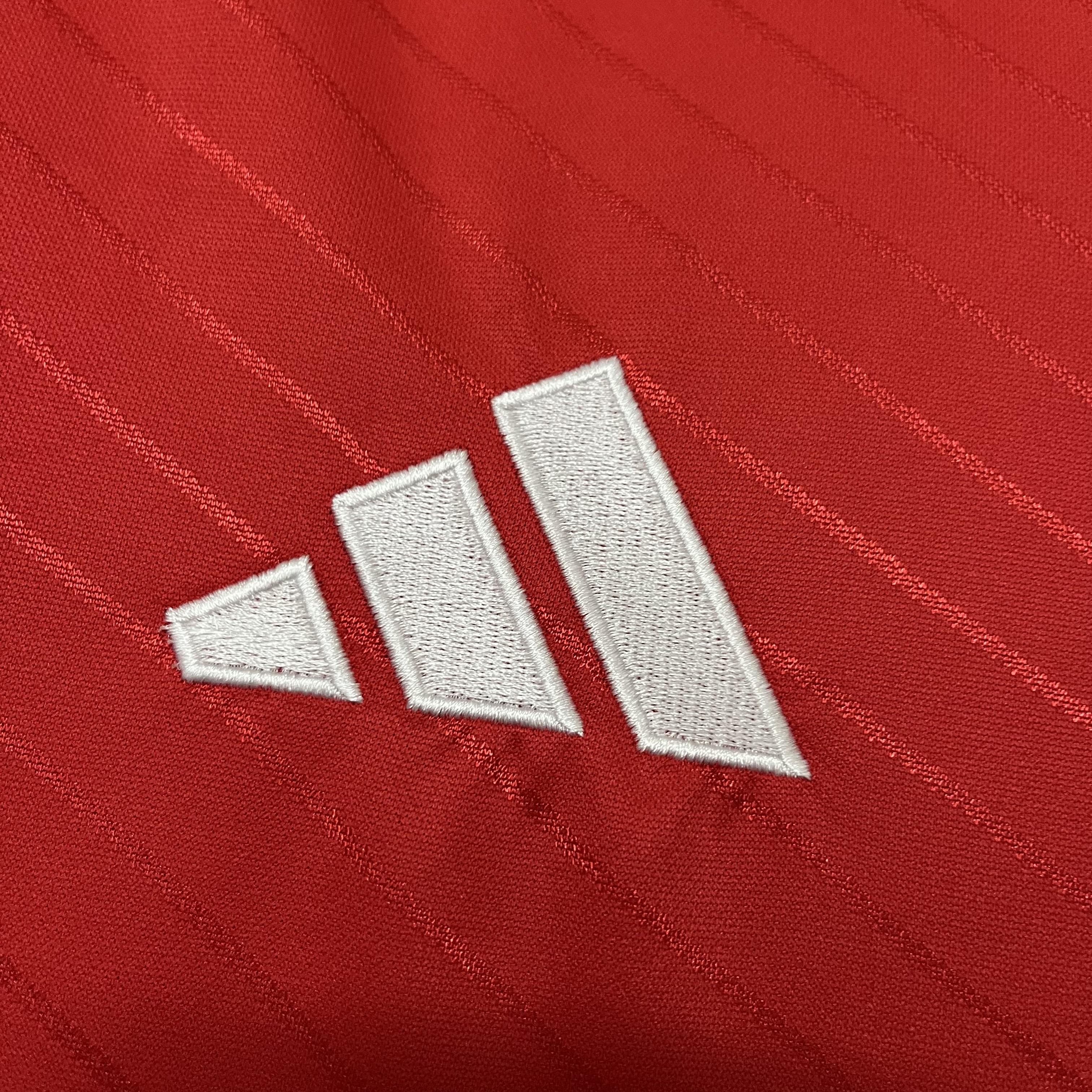 24/25 Benfica Home Men Football Shirts Thai Quality