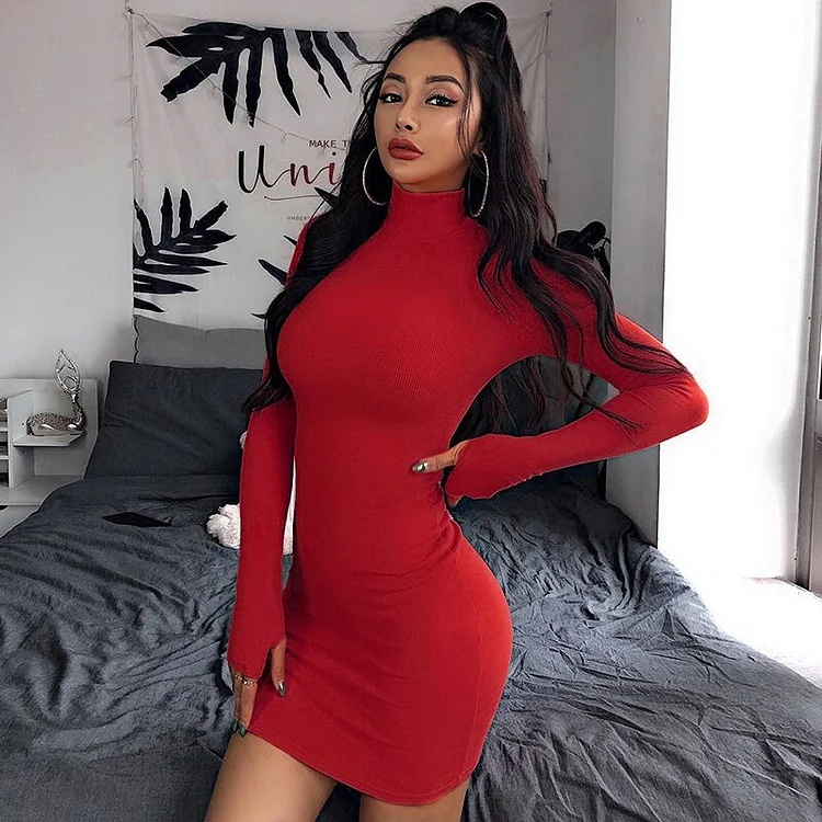 Long Sleeve Bodycon Turtleneck Casual Dresses