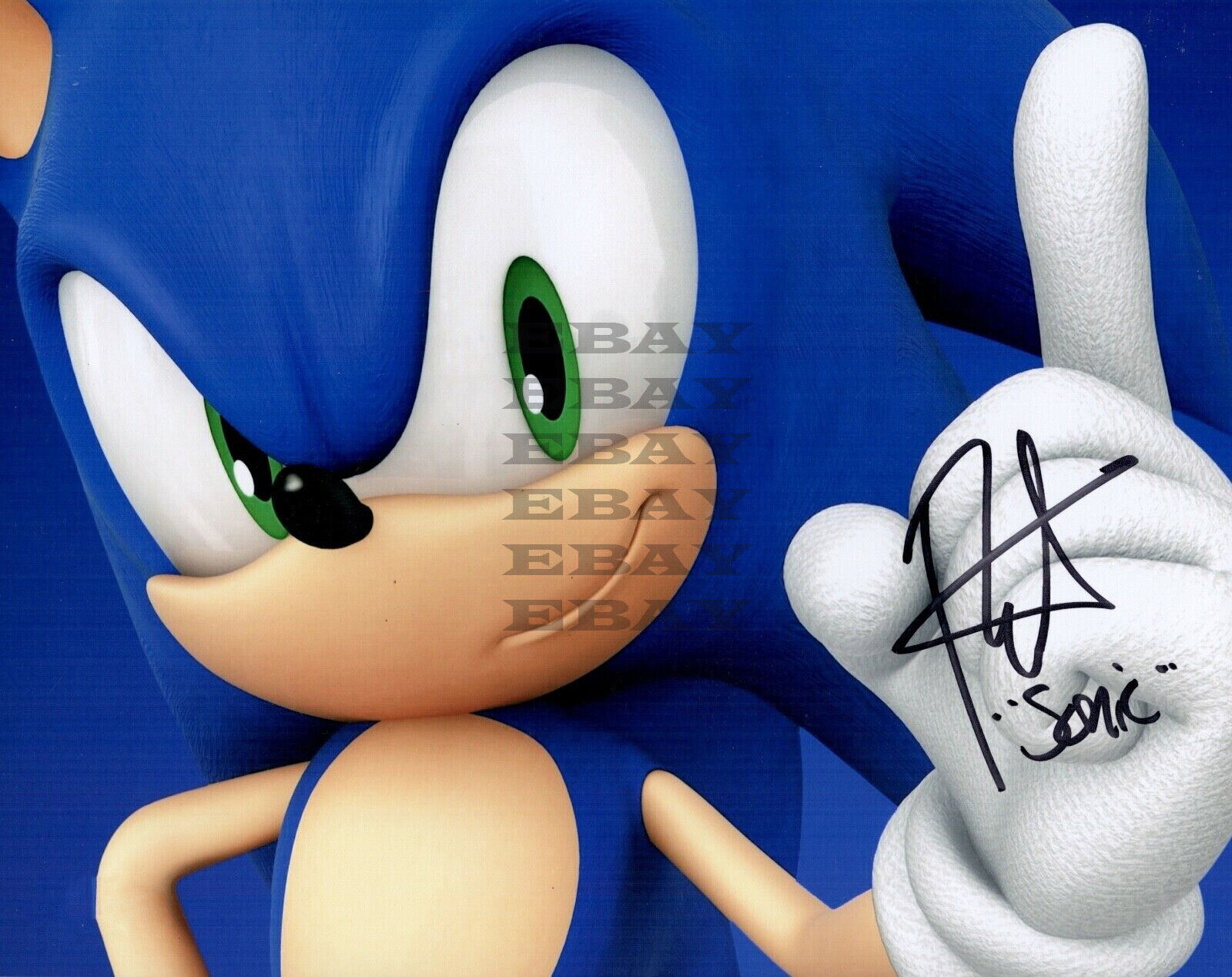 ROGER CRAIG SMITH SONIC THE HEDGEHOG. Autographed 8x10 Photo Poster painting Signed REPRINT