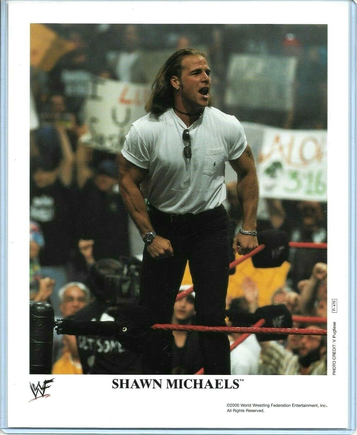 WWE SHAWN MICHAELS P-475 OFFICIAL LICENSED AUTHENTIC ORIGINAL 8X10 PROMO Photo Poster painting