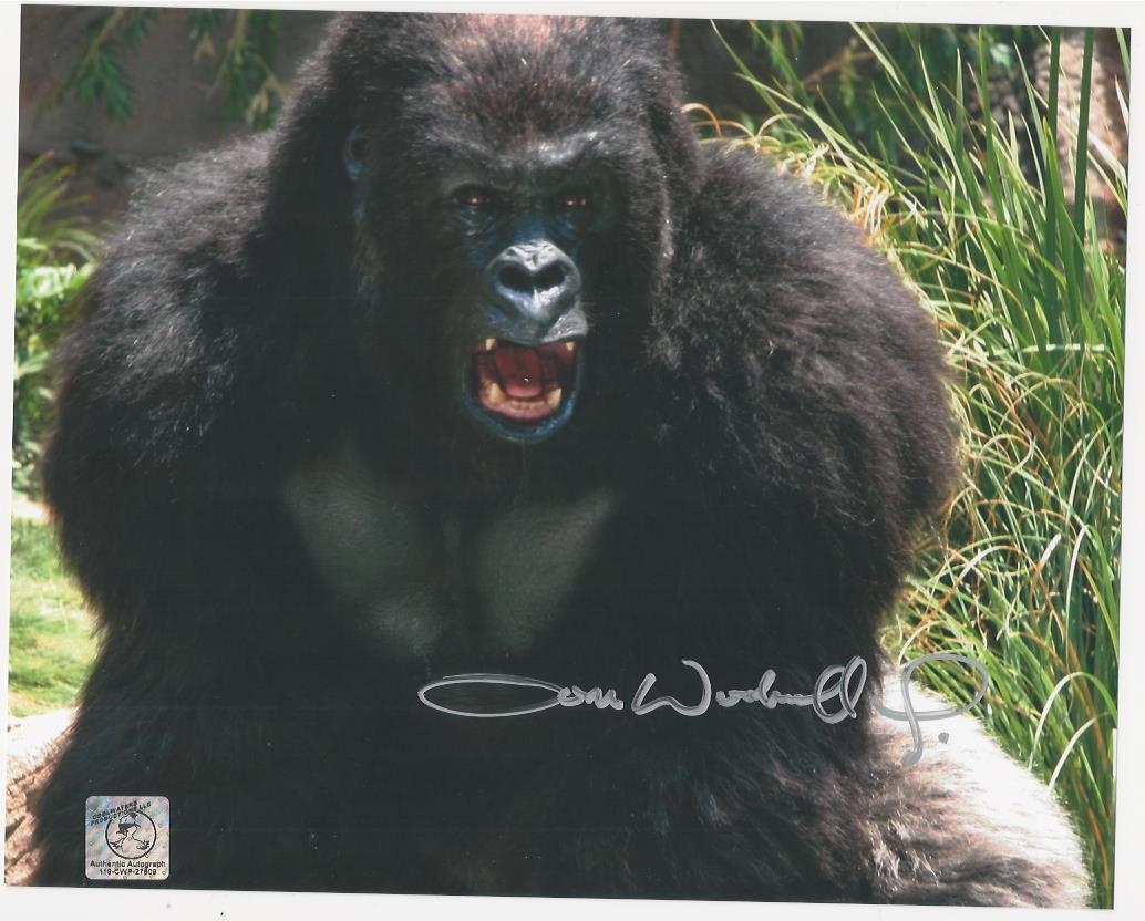 Tom Woodruff jr. - Gorilla signed Photo Poster painting