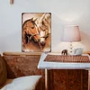 Couple Horse - Vintage Metal Signs - 30*40cm - Western