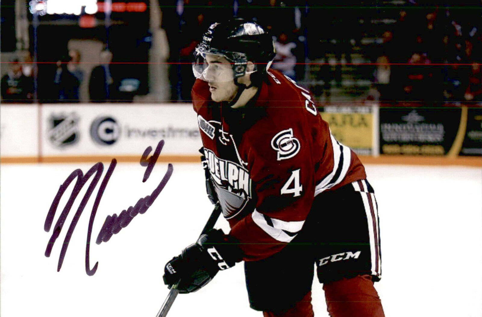 Noah Carroll SIGNED 4x6 Photo Poster painting GUELPH STORM / CAROLINA HURRICANES #2