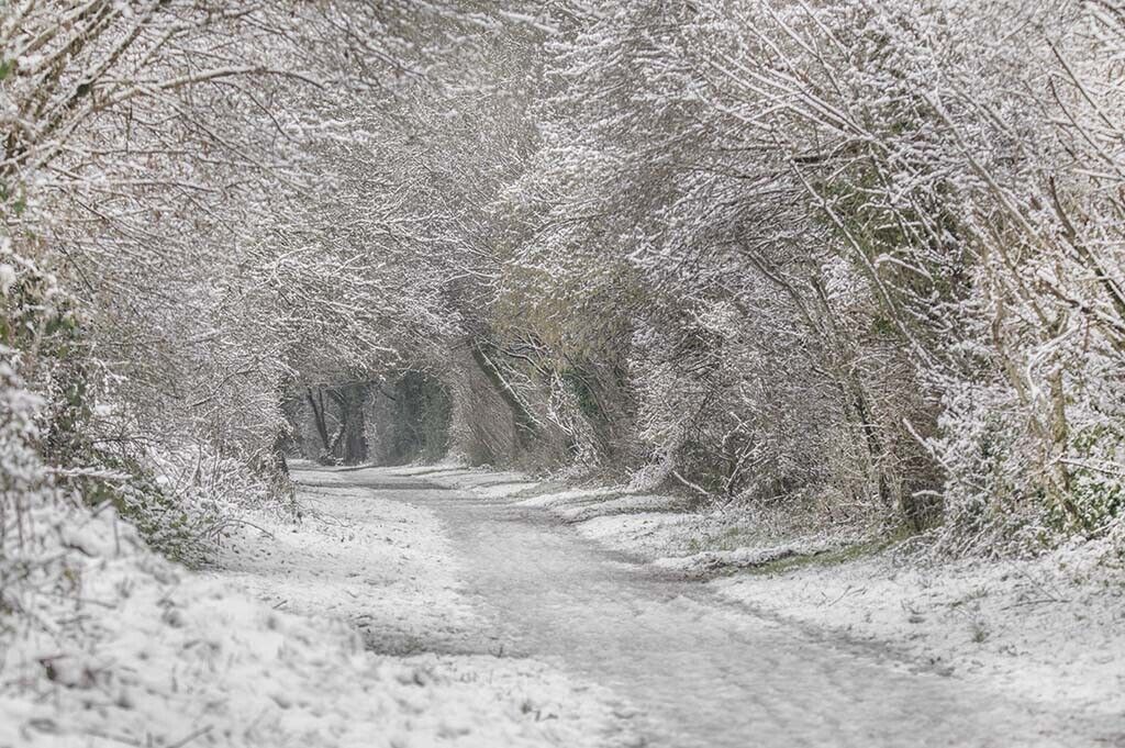 Cornish Winter Snow Scene The Camel Trail 12x8 inch print picture