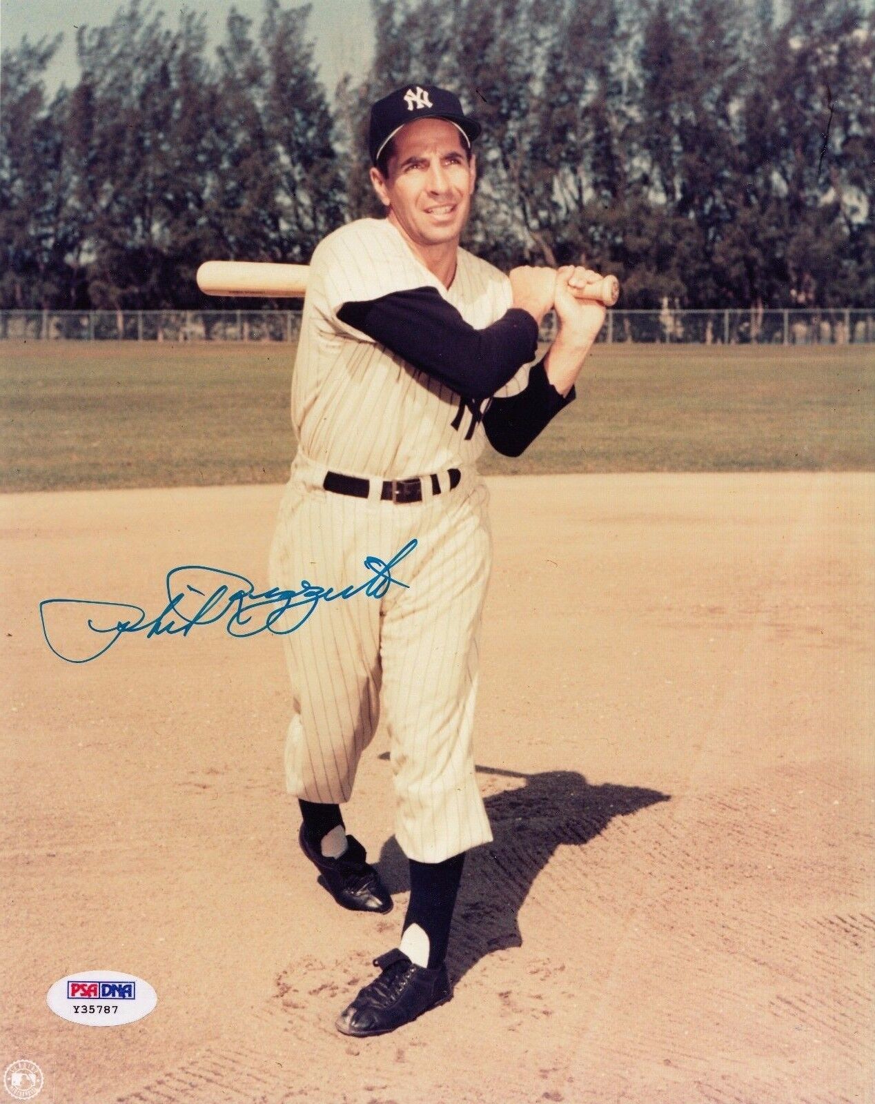 Phil Rizzuto autographed New York Yankees 8x10 Photo Poster painting PSA/DNA authentic Y35787