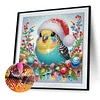 Diamond Painting - Partial Special Shaped Drill - Winter Parrot(Canvas|30*30cm)