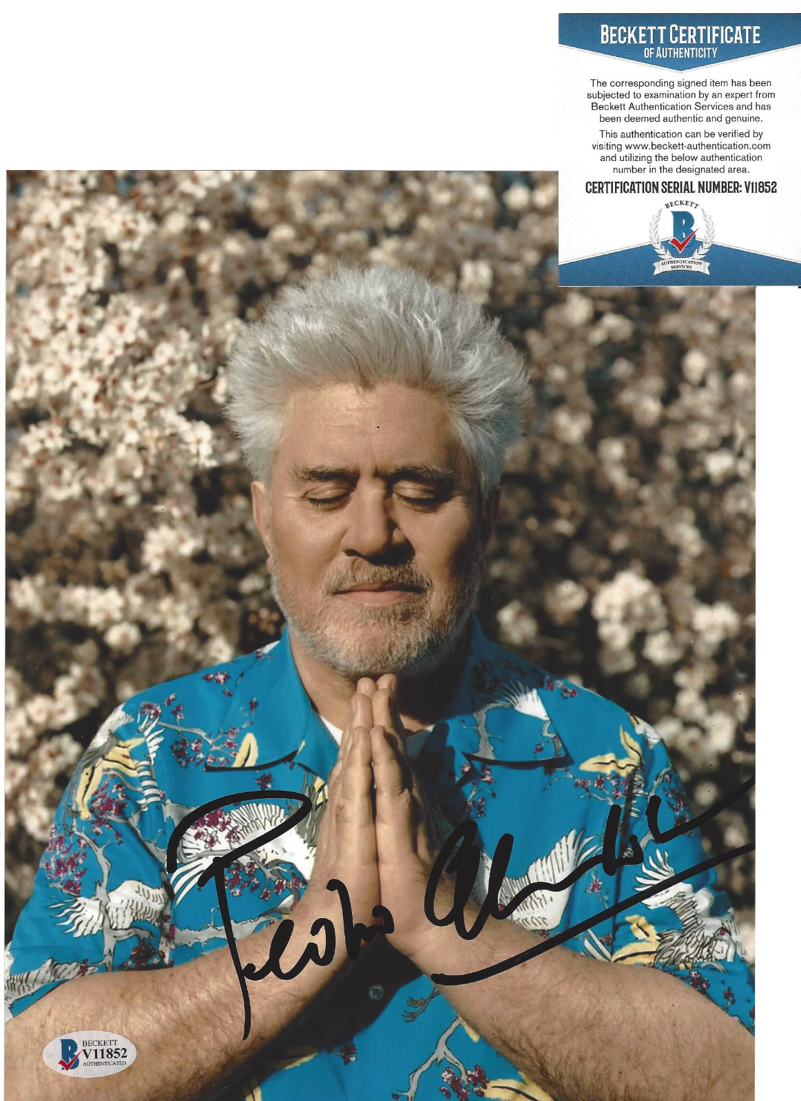 DIRECTOR PEDRO ALMODOVAR SIGNED 'PARALLEL MOTHERS' 8x10 Photo Poster painting B BECKETT COA BAS