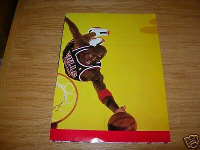 Michael Jordan 8.5 x 11.5