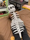 Dinosaur Skeleton Exoskeleton Plush Headgear + Back Accessory Set