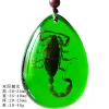 Insect Amber Pendant Natural Butterfly Specimen Insect Amber Necklace Children's Hanging Accessories