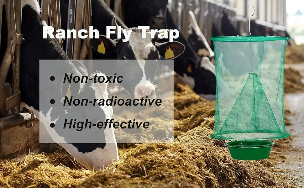 fly trap